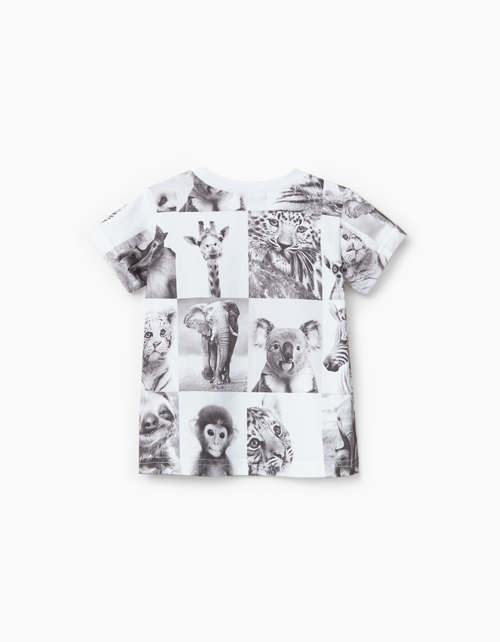 Купить белую футболка с Animal-принтом BellBimbo