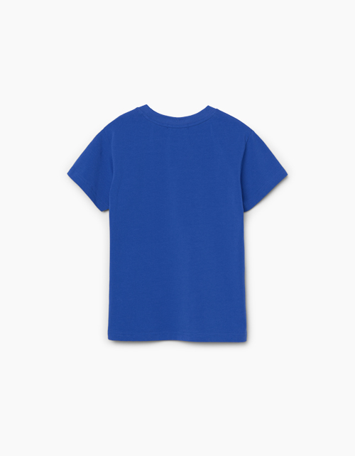 Синяя футболка для мальчика Купить синюю футболку для мальчика