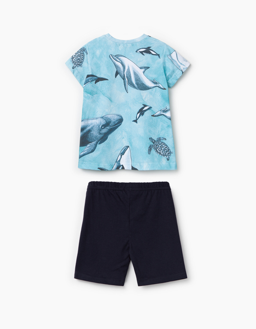 Купить комплект из футболка и шорт для мальчика