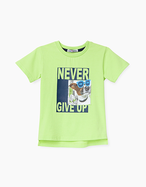 Салатовая футболка для мальчика Купить салатовую футболку для мальчика