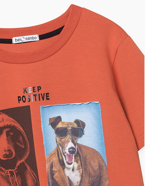 Футболка цвета терракот с принтом для мальчика