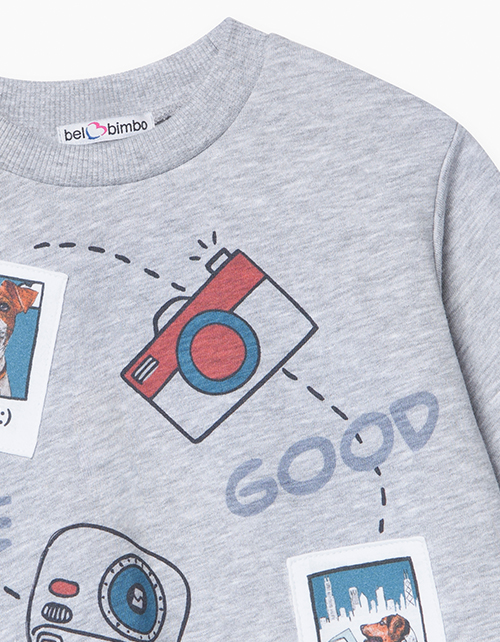 Свитшот цвета серый меланж для мальчика