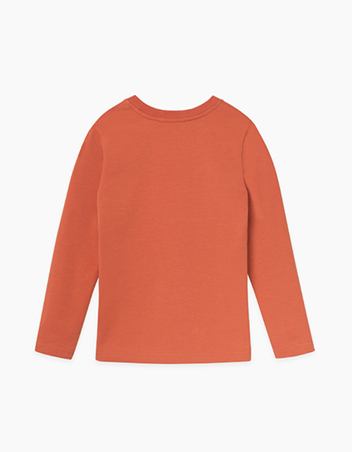 Терракотовый лонгслив с принтом для мальчика
