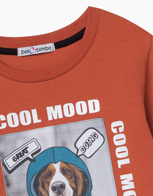 Терракотовый лонгслив с принтом для мальчика