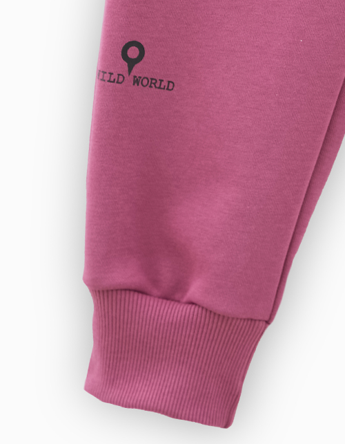 Брюки-джоггеры в трендовом оттенке красная слива Брюки-джоггеры в трендовом оттенке красная слива