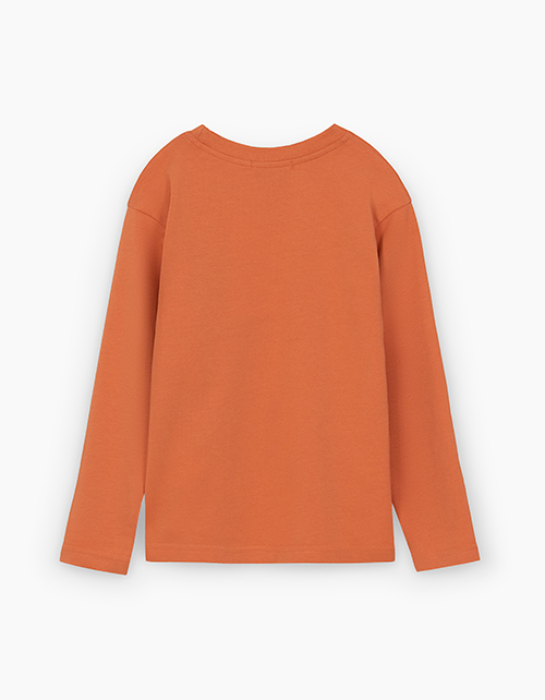 Яркий лонгслив для мальчика