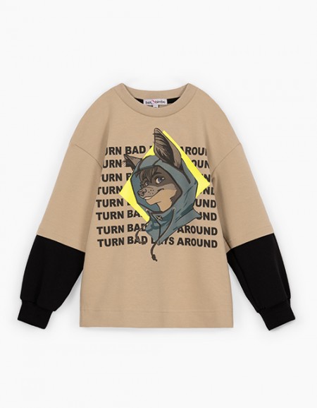 Дизайнерский свитшот для мальчика Дизайнерский свитшот для мальчика