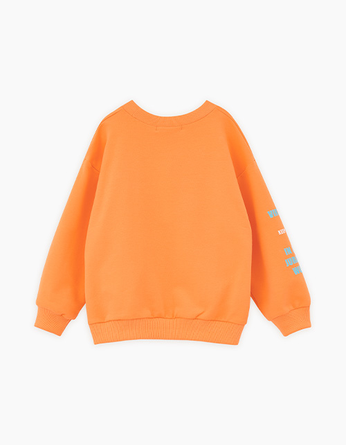 Свитшот для мальчика