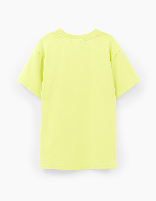 Фисташковая футболка Фисташковая футболка