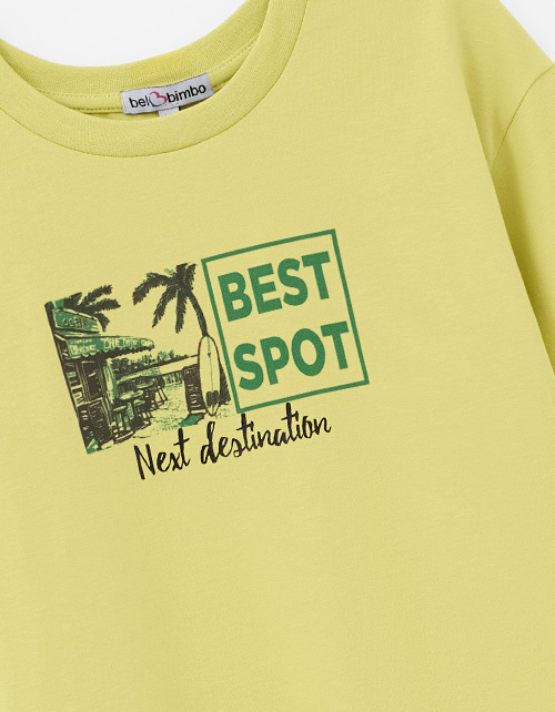 Фисташковая футболка для мальчика Фисташковая футболка для мальчика